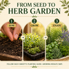 Popular Herb Seeds for Planting – 35 Variety Pack – photo 7