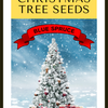 Grow Your Own CHRISTMAS TREE - Colorado Blue Spruce ( Picea Pungens Glauca ) Gift Packet of Tree Seeds
