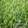 ColorGrass® Twister