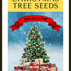 Grow Your Own CHRISTMAS TREE - Balsam Fir ( Abies Balsamea ) Gift Packet of Tree Seeds