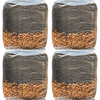 Mushroom Grow Kit - 4 Pack - All In One Mushroom Grow Bags