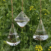 Glass Hanging Planters Indoor Outdoor Plant Pots Water Plant Containers Flower Pots Glass Terrariums Wall Vases 3 Pieces