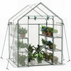 Walk-In Greenhouse 56x56x77 Inch with Observation Windows