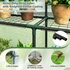 Walk-In Greenhouse 56x56x77 Inch with Observation Windows