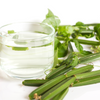 Veld Grape (Cissus quadrangularis)