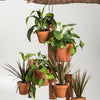 6-Pot Acacia Wood Hanging Plant Holder 3-Piece Set for Indoor Outdoor