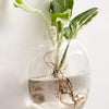 Mkono Wall Hanging Glass Terrariums Planter Oblate Flower Vase for Hydroponics Plants, Bathroom, Home Office Living Room Decor, Set of 2