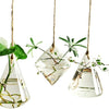 Glass Hanging Planters Indoor Outdoor Plant Pots Water Plant Containers Flower Pots Glass Terrariums Wall Vases 3 Pieces