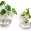 Mkono Wall Hanging Glass Terrariums Planter Oblate Flower Vase for Hydroponics Plants, Bathroom, Home Office Living Room Decor, Set of 2