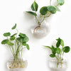 Mkono Wall Hanging Planter Propagation Station Glass Flower Vase for Hydroponics Plants, Bathroom, Home Office Living Room Decor Gift, Oblate Set of 3