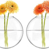 Mkono Wall Hanging Glass Terrariums Planter Oblate Flower Vase for Hydroponics Plants, Bathroom, Home Office Living Room Decor, Set of 6