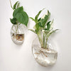 Mkono Wall Hanging Planter Propagation Station Glass Flower Vase for Hydroponics Plants, Bathroom, Home Office Living Room Decor Gift, Oblate Set of 3