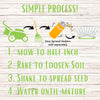 Micro Clover Seed