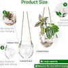Wall Hanging Glass Planter Air Planter Terrarium Vase Propagation Stations for Hydroponic Plants, Succulent Moss Tillandsias Air Plants Globe,Home Office Garden Decor, Set of 2