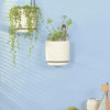 Wall Mounted Hanging Planter Vase & Geometric Wall Decor Polypropylene Container - Dia.5.91" - Sylinder Shape, White, Set of 2