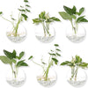 Pack of 6 Glass Planters Wall Hanging Planters Round Glass Plant Pots Hanging Air Plant Pots Flower Vase Air Plant Terrariums Wall Hanging Plant Container