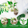 Wall Hanging Glass Planter Air Planter Terrarium Vase Propagation Stations for Hydroponic Plants, Succulent Moss Tillandsias Air Plants Globe,Home Office Garden Decor, Set of 2
