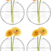 Mkono Wall Hanging Planter Propagation Station Glass Flower Vase for Hydroponics Plants, Bathroom, Home Office Living Room Decor Gift, Oblate Set of 4