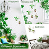 Wall Hanging Glass Planter Air Planter Terrarium Vase Propagation Stations for Hydroponic Plants, Succulent Moss Tillandsias Air Plants Globe,Home Office Garden Decor, Set of 2