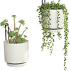 Wall Mounted Hanging Planter Vase & Geometric Wall Decor Polypropylene Container - Dia.5.91" - Sylinder Shape, White, Set of 2