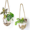 Wall Hanging Glass Planter Air Planter Terrarium Vase Propagation Stations for Hydroponic Plants, Succulent Moss Tillandsias Air Plants Globe,Home Office Garden Decor, Set of 2
