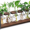 THYGIFTREE Plant Propagation Stations with Wooden Stand, Desktop Retro Plant Terrarium Bulb Vase for Indoor Hydroponic Flowers, Tabletop Glass Planter Housewarming Gifts for Plant Lovers