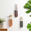 Wood Wall Planter Indoor, Propagation Station, Wooden Hanging Vase for Dried Flowers, Wall Plant Holder, Boho Wall Décor for Living Room U Rainbow Shape (Set of 3)