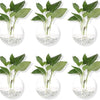 Pack of 6 Glass Planters Wall Hanging Planters Round Glass Plant Pots Hanging Air Plant Pots Flower Vase Air Plant Terrariums Wall Hanging Plant Container