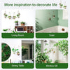 Wall Hanging Glass Planter Air Planter Terrarium Vase Propagation Stations for Hydroponic Plants, Succulent Moss Tillandsias Air Plants Globe,Home Office Garden Decor, Set of 2