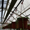 String of Pearls