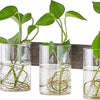 Mkono Propagation Station Wall Planter Glass Cylinder Vase Hanging Terrarium for Hydroponics Plant Cutting Indoor Outdoor Decor Brown, Plant Lover Gift