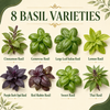 Popular Herb Seeds for Planting – 35 Variety Pack – photo 9