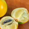 Abiu (Pouteria caimito)