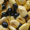 Ackee (Blighia sapida)