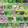 Gardeners Seed Vault Kit - 70 Varieties of Vegetable and Herb Seeds for Your Garden