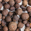 Allspice (Pimenta dioica)