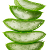 Aloe (Aloe vera)