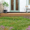 Low Grow No-Mow Lawn Mix – Clover & Low-Maintenance Grass Alternative – photo 4