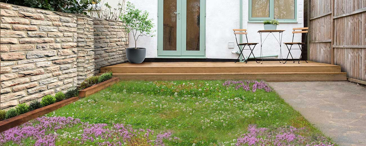 Low Grow No-Mow Lawn Mix – Clover & Low-Maintenance Grass Alternative – photo 4