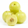 Amla, Indian Gooseberry (Phyllanthus emblica)
