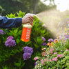 Spray Bottle