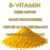 RAW B-Vitamin | 1% Vitamin B1 + 9% Magnesium | Water-Soluble Plant Supplement