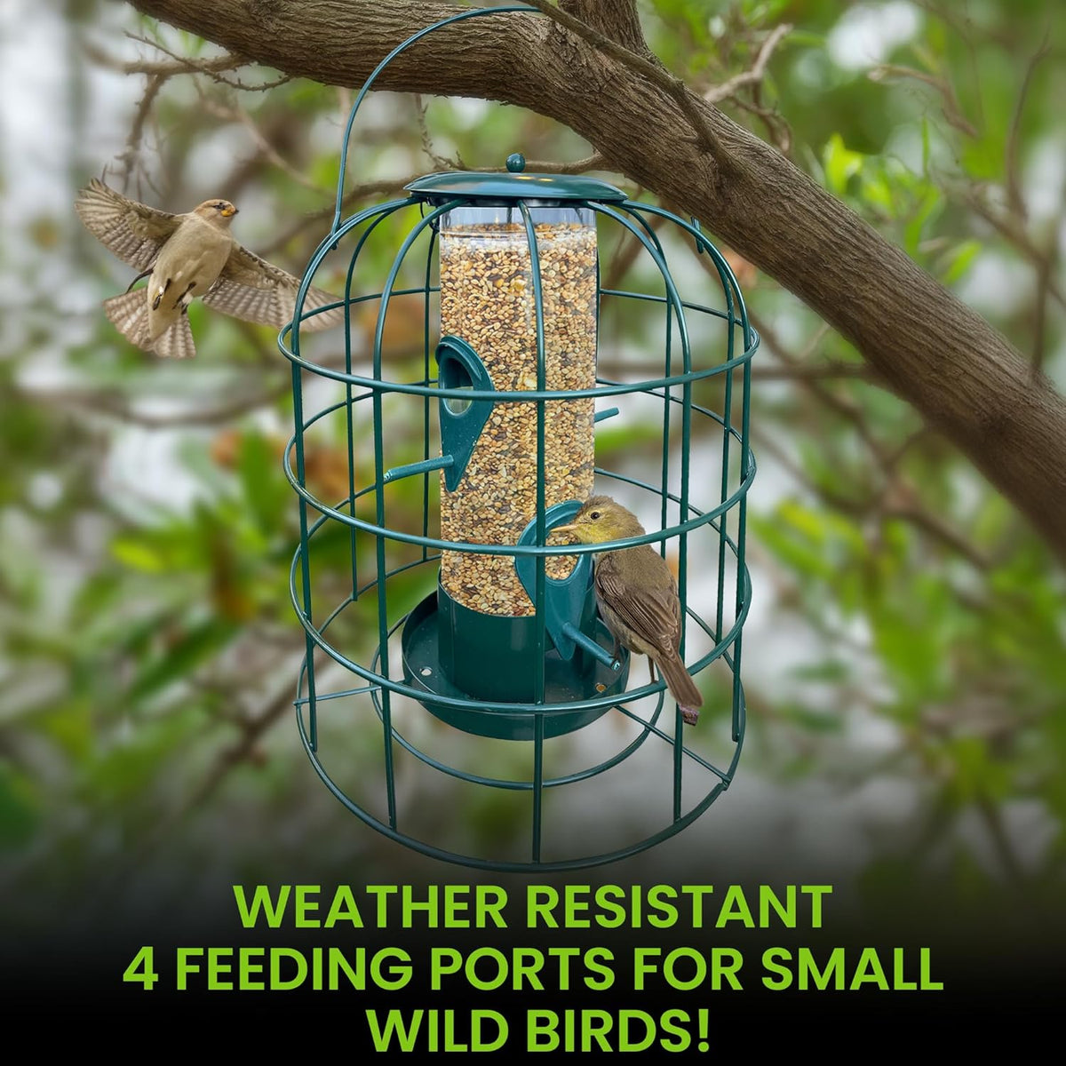 Squirrel Resistant Tube Bird Feeder – photo 2