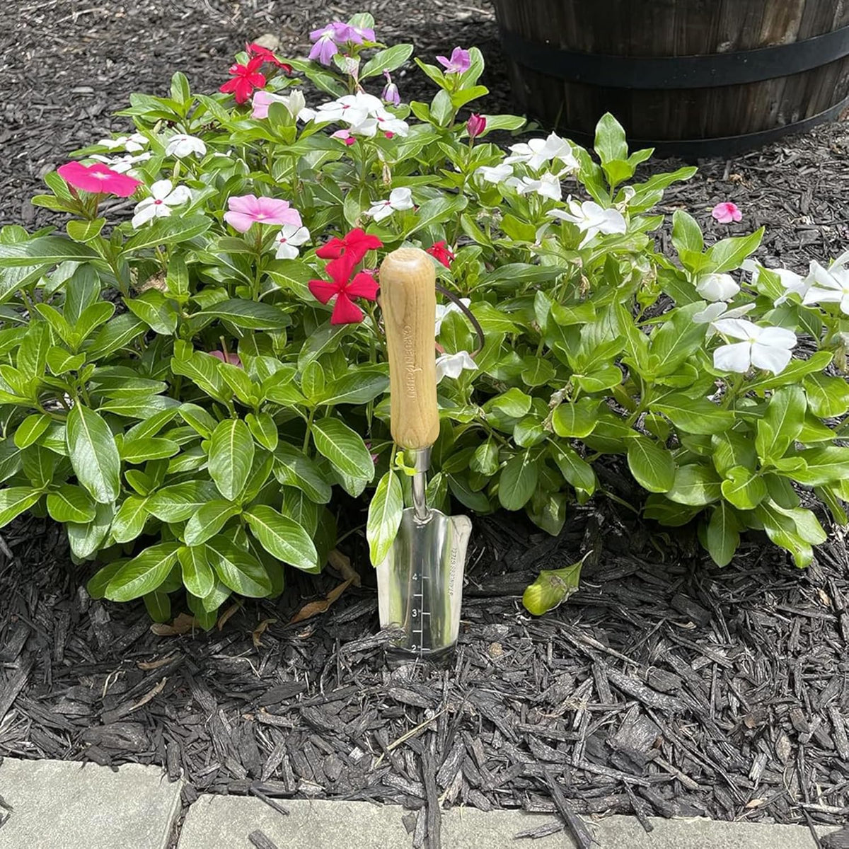 Stainless Steel Transplanter Trowel (classic wood handle) – photo 2