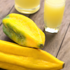 Babaco, Mountain Papaya (Carica pentagona)