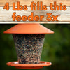 Songbird Symphony Wild Bird Seed Blend