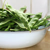 Romano Bush Bean Seeds – Italian Flat Green Pod Phaseolus Vulgaris Vegetable – photo 2