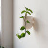 Bender Wall Planter