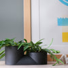 Double Planter
