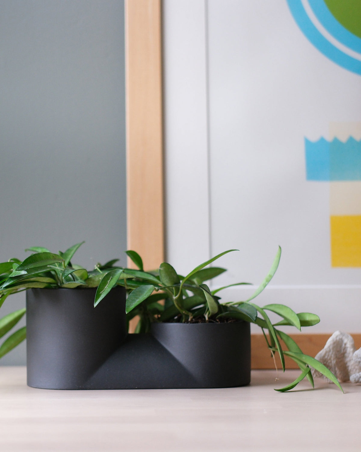 Double Planter